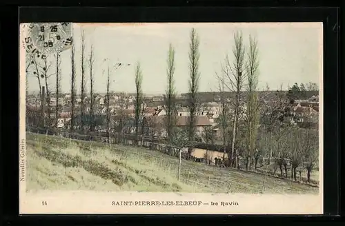 AK Saint-Pierre-les-Elbeuf, Le Ravin, Vue Panoramique