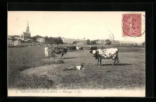 AK Saint-Pierre-les-Elbeuf, Paturage, Vue de L`Eglise