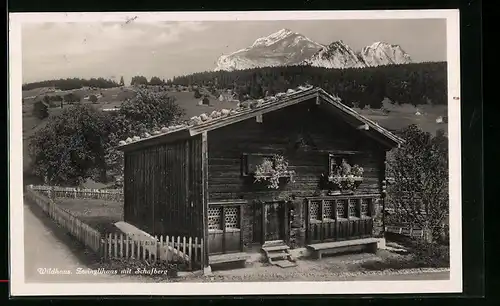 AK Wildhaus, Das Zwinglihaus mit Schafberg