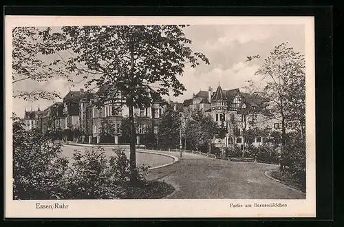 AK Essen / Ruhr, Partie am Bernewäldchen