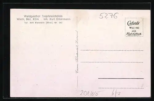 AK Wiehl /Bez. Köln, Waldgasthof Tropfsteinhöhle