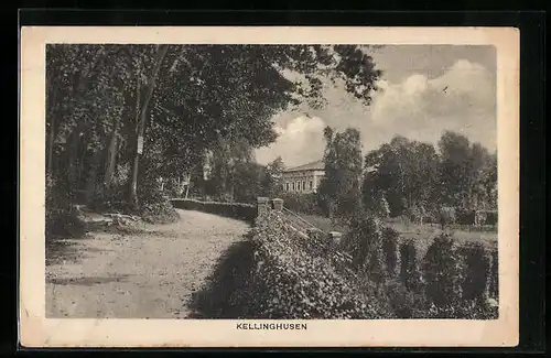 AK Kellinghusen, Parkidylle mit Gebäude