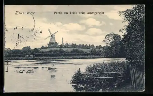 AK Ahrensbök, Teichpartie beim Amtsgericht, Mühle im Hintergrund
