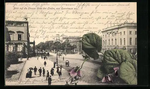 AK Berlin, Blick auf Unter den Linden vom Opernhaus aus gesehen