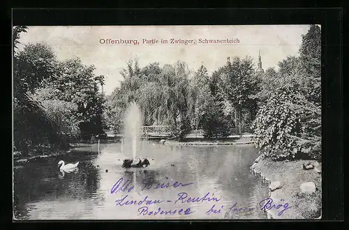 AK Offenburg, Schwanenteich im Zwinger