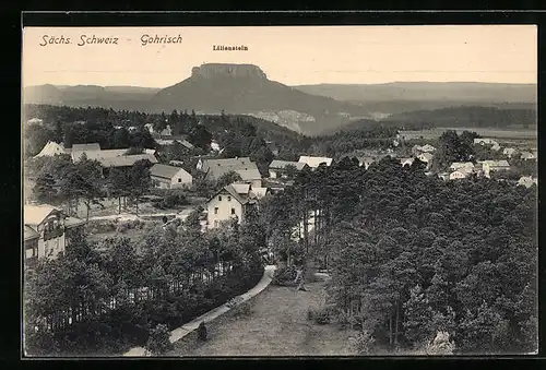 AK Gohrisch / Sächs. Schweiz, Gesamtansicht mit Lilienstein