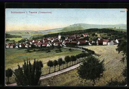 AK Schlossborn i. Taunus, Panorama