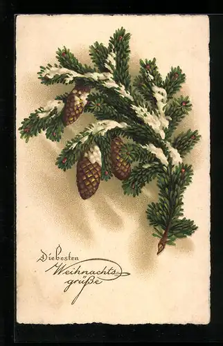 AK Verschneiter Tannenzweig zu Weihnachten