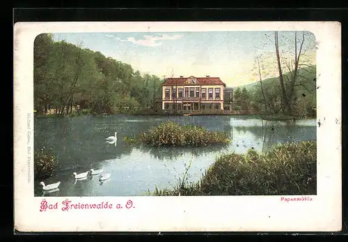 AK Bad Freienwalde a. O., Blick auf die Papenmühle