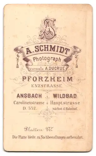 Fotografie A. Schmidt, Pforzheim, Enzstrasse, Junge Frau mit Hochsteckfrisur