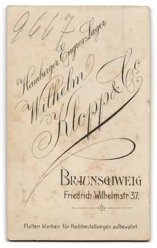 Fotografie Wilhelm Klopp & Co., Braunschweig, Friedrich Wilhelmstrasse 37, Junger Mann in Anzug und Hut vor Landschaft