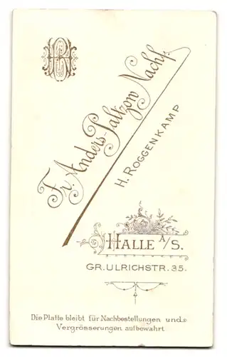 Fotografie Fr. Anders Paltzow Nachf., Halle a. S., Gr. Ulrichstrasse 35, Dame mit Duttfrisur, Ohrschmuck und Brosche