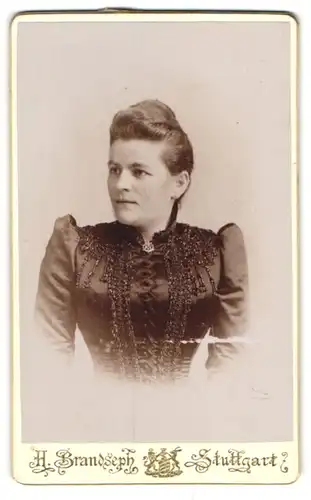 Fotografie Hermann Brandseph, Stuttgart, Marienstr. 36, H. Brandseph, Stuttgart, Hübsche Dame im bestickten Kleid