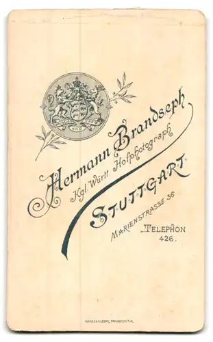 Fotografie Hermann Brandseph, Stuttgart, Marienstr. 36, H. Brandseph, Stuttgart, Hübsche Dame im bestickten Kleid