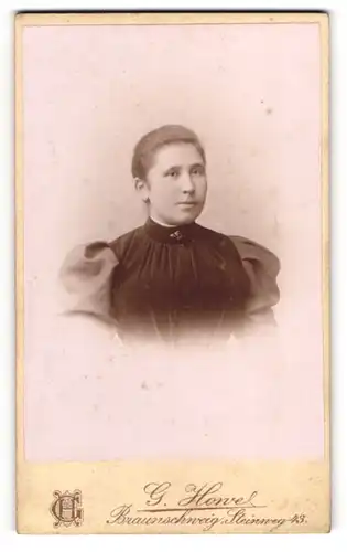 Fotografie G. Howel, Braunschweig, Steinweg 43, Gutbürgerliche Dame im samtenen Kleid