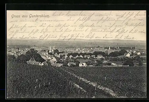AK Guntersblum, Totalansicht des Ortes