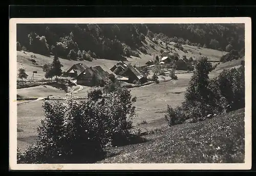 AK Fahl i. Wiesental, Blick auf das Dorf