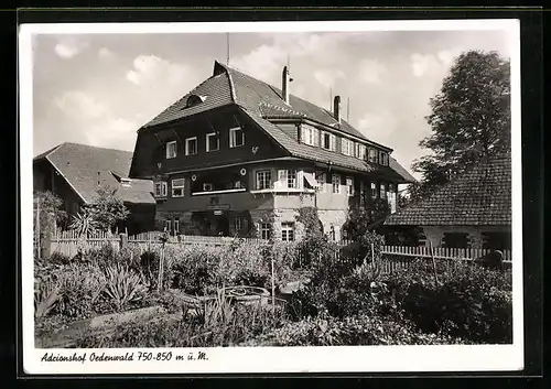 AK Freudenstadt i. Schwarzwald, Adrionshof in Oedenwald