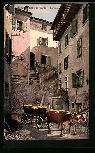 AK Torbole, Landwirt mit Ochsengespann
