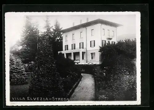 AK Stresa, Villa Elvezia