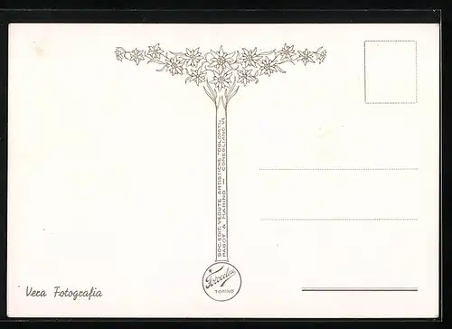 AK S. Stefano di Cadore, Platz mit Kirche