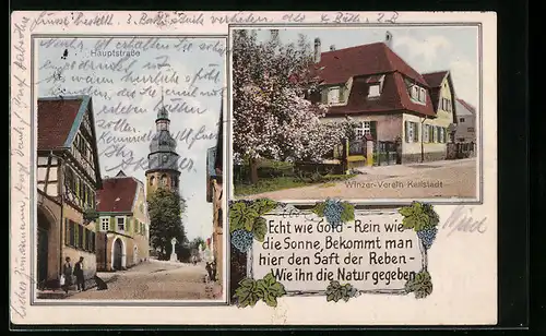 AK Kallstadt, Winzer-Verein, Hauptstrasse