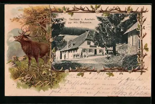 Passepartout-Lithographie Sirnitz, Gasthaus z. Auerhahn