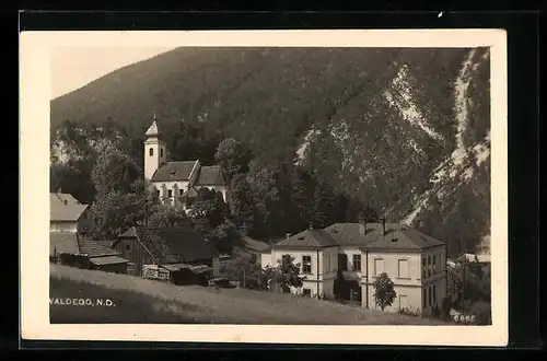 AK Waldegg, Ortsansicht mit Kirche