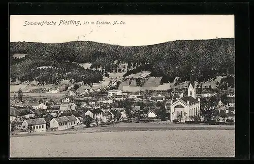 AK Piesting, Blick über die Wiese auf den Ort