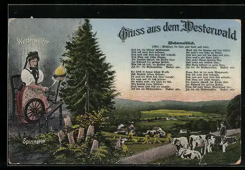 AK Gruss aus dem Westerwald, Westerwälder Spinnerin, Bauer mit einer Kuhherde