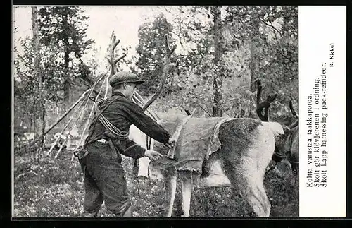 AK Norweger mit Rentier im Wald