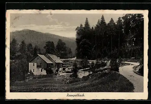 AK Rumpelbach, Häuser mitten im Waldgebiet