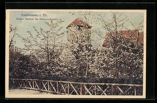 AK Mühlhausen i. Thür., Hoher Graben im Blütenschmuck