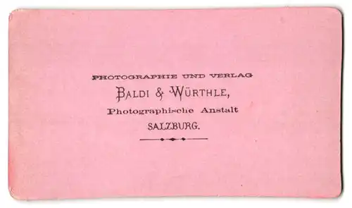 Fotografie Baldi & Würthle, Salzburg, Ansicht Bruck an der Grossglocknerstrasse, Blick zum Schloss Fischhorn