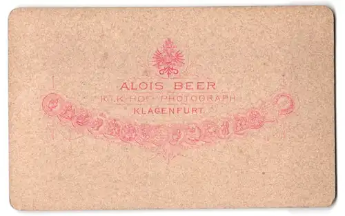 Fotografie Alois Beer, Klagenfurt, Ansicht Steindorf, Blick auf den Ossiacher See mit Wohnhäusern