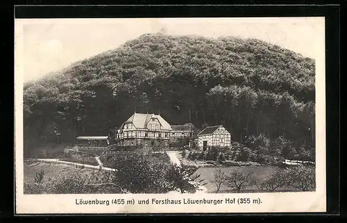 AK Löwenburg, Forsthaus Löwenburger Hof