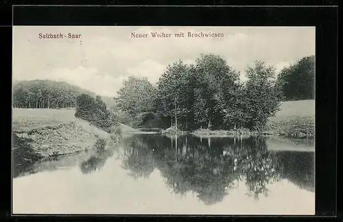 AK Sulzbach /Saar, Neuer Weiher mit Bruchwiesen