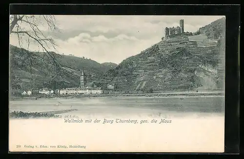 AK Wellmich, Burg Thurnberg, gen. die Maus