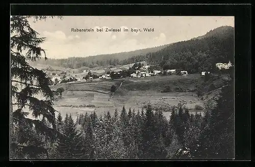 AK Rabenstein bei Zwiesel im bayr. Wald, Ortsansicht mit Umgebung
