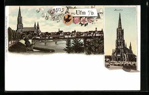 Lithographie Ulm, Panoramaansicht, Münster