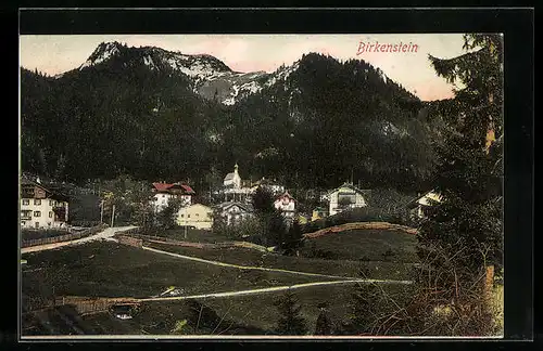 AK Birkenstein, Ortsansicht aus der Vogelschau