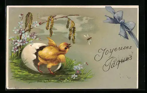 AK Osterküken schlüpft aus dem Ei