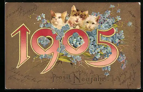 AK Jahreszahl 1905 mit Katzen