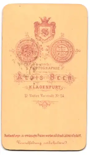 Fotografie Alois Beer, Klagenfurt, St. Veiter Vorstadt 24, Bürgerlicher Herr mit Schnauzbart