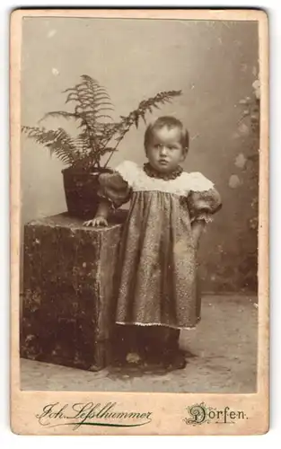 Fotografie Joh. Lesslhummer, Dorfen, Kleines Kind im hübschen Kleid