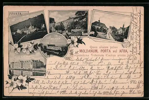 AK Grimma, Klosterkirche und das benachbarte Gymnasium St. Augustin, Teilansichten von Meissen