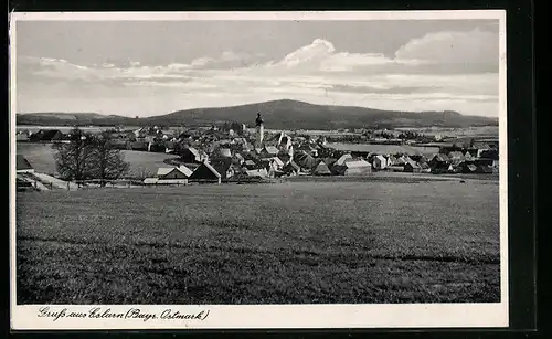 AK Eslarn /Obpf., Ortsansicht