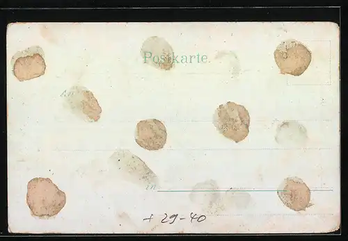 AK Wasserburg a. Bodensee, Ortsansicht