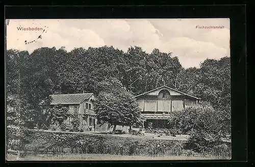 AK Wiesbaden, Blick auf die Fischzuchtanstalt