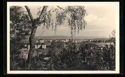 AK Kautzen /N.-Oe., Teilansicht mit Baum